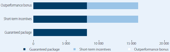 Chief Executive Ocers – actual value (R’000)