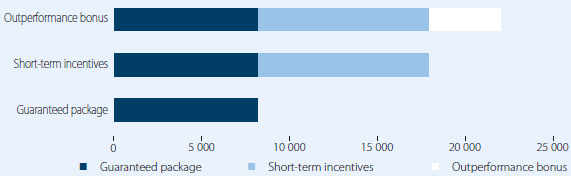 Chief Executive Ocers – maximum value (R’000)
