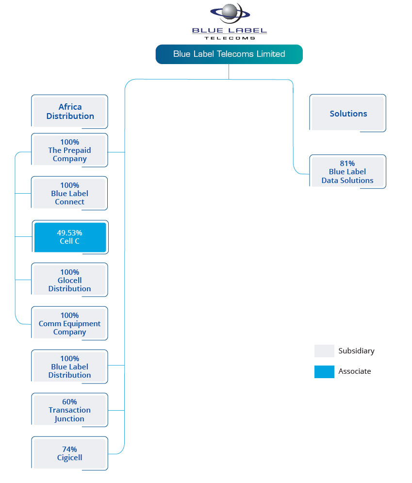 Interest in subsidiaries